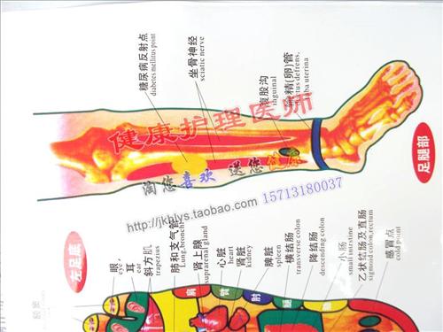 张庭供卵做试管代生费用女儿面容曝光，长相不及母亲一半，供卵做试管供卵三代真不好做