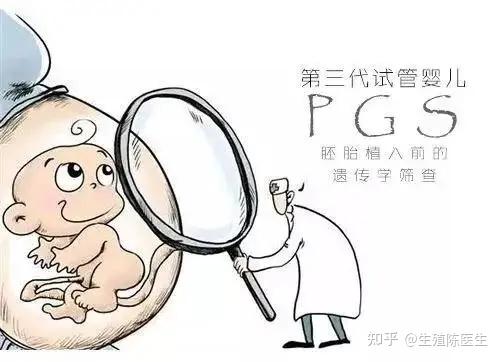 做借卵试管期间被公司解雇