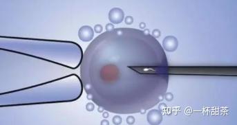 武汉市代怀生男孩女孩包成功费用,附2024本地代怀机构检查项