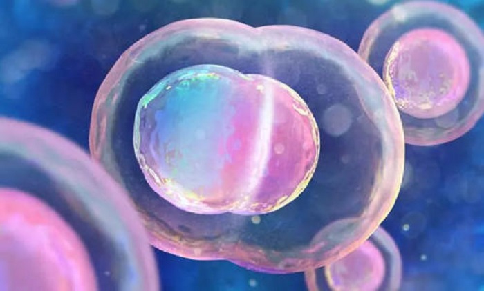 精子库兼职可信吗+武汉精子库智商可信吗