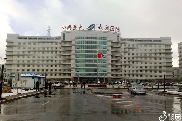 武汉妇幼保健院供精代怀费用大概多少婴儿的流程有什么